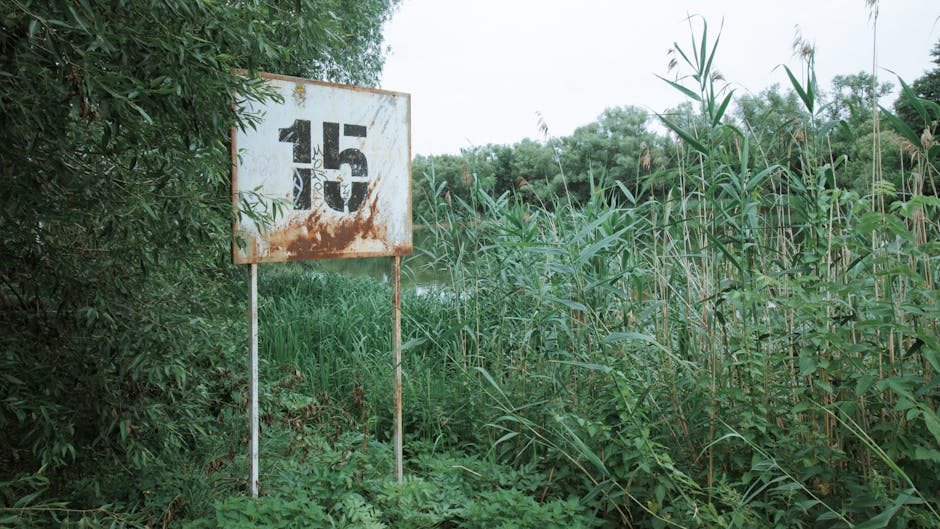 Fitness product review display